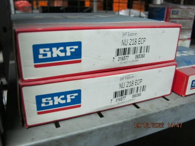 SKF Photo 133